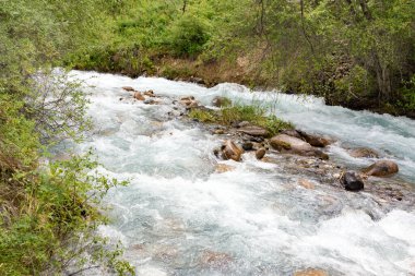 Dağ nehrindeki dalgalı su. Doğadaki parkta.