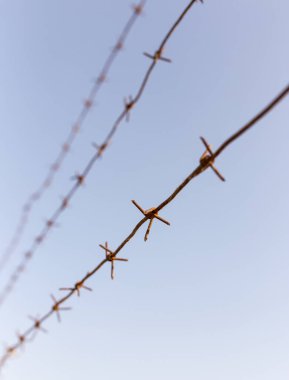 Mavi gökyüzüne karşı dikenli tel. Doğadaki parkta.