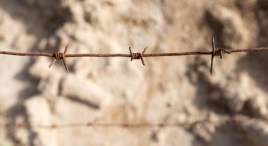 Doğada dikenli teller var. Doğadaki parkta.