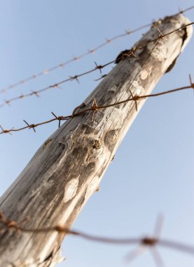 Mavi gökyüzüne karşı dikenli tel. Doğadaki parkta.