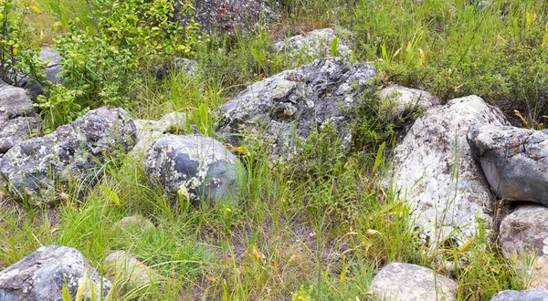 Große Steine Den Bergen Der Natur — Stockfoto