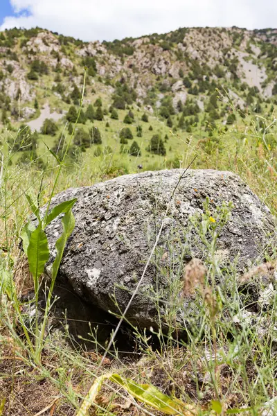 Doğadaki Dağlarda Büyük Taşlar — Stok fotoğraf