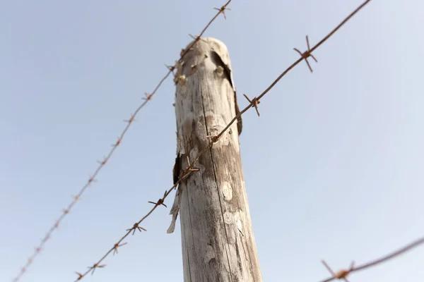 Συρματόπλεγμα Στον Γαλάζιο Ουρανό Στο Πάρκο Στη Φύση — Φωτογραφία Αρχείου