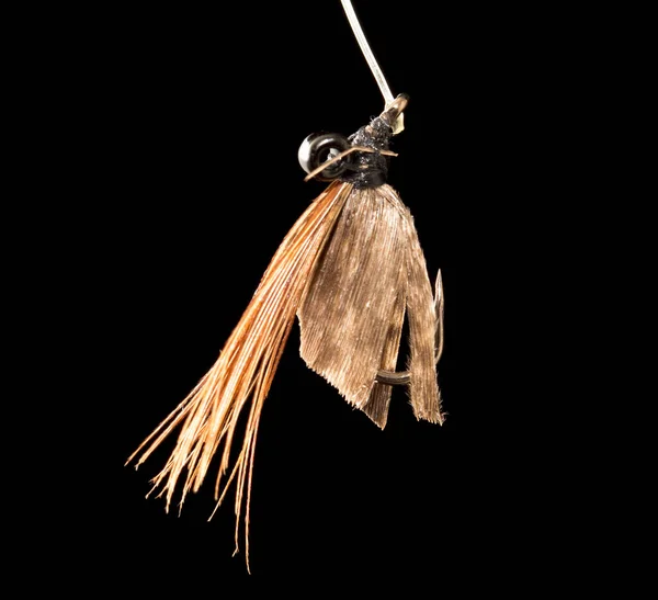 Fly Catch Fish Black Background — Stock Photo, Image