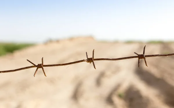 Barbed Wire Fence Nature Park Nature — Stock Photo, Image