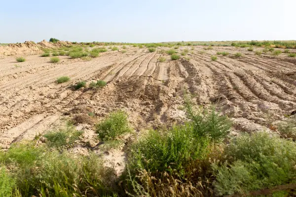 Strada Sterrata Nel Deserto Nel Parco Nella Natura — Foto Stock