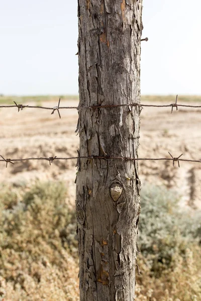 Barbed Wire Fence Nature Park Nature — Stock Photo, Image