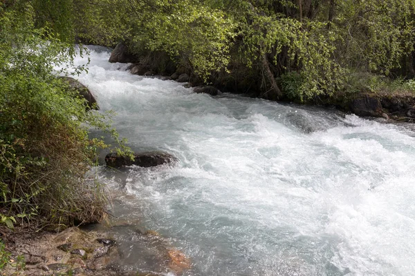 Eau Rude Dans Une Rivière Montagne Dans Parc Dans Nature — Photo