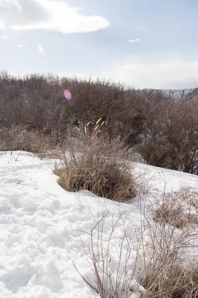 Nature Dans Les Montagnes Tien Shan Hiver Kazakhstan — Photo