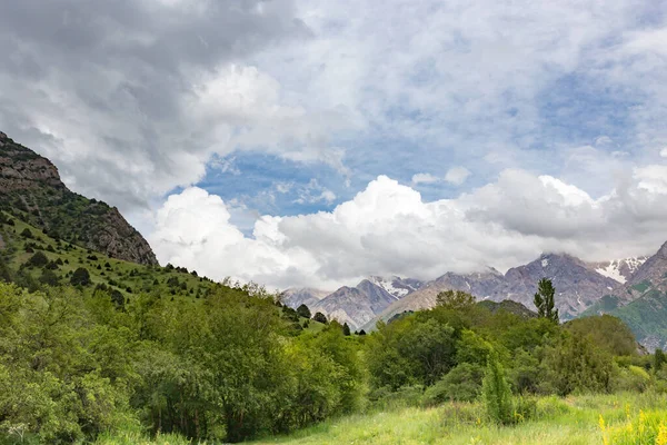 Krásná Příroda Horách Kazachstánu Parku Přírodě — Stock fotografie