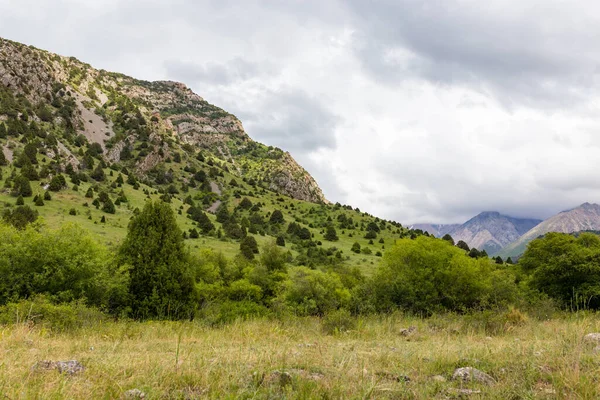 Piękna Przyroda Górach Kazachstanu — Zdjęcie stockowe