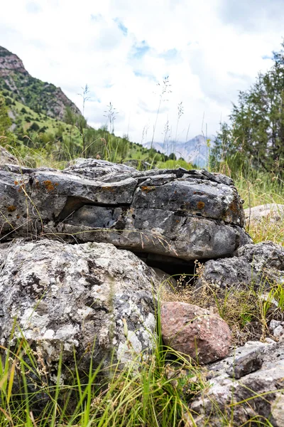 Große Steine Den Bergen Der Natur — Stockfoto