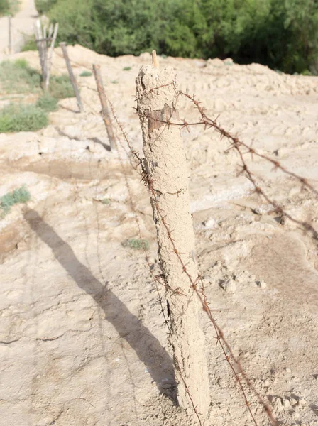 Barbed Wire Fence Nature Park Nature — Stock Photo, Image