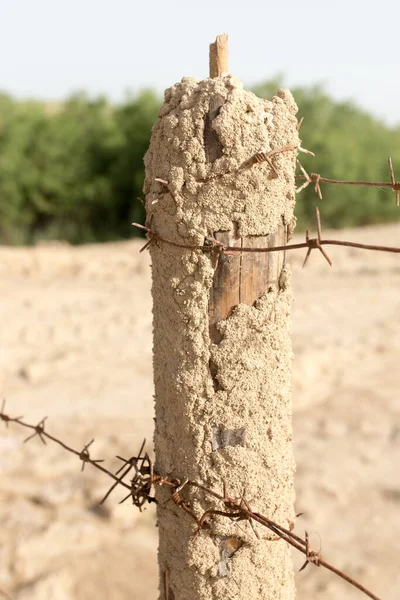 Cerca Alambre Púas Naturaleza Parque Naturaleza — Foto de Stock