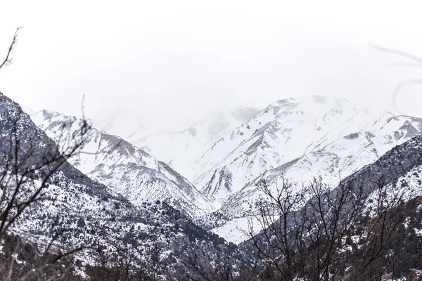 Besneeuwde Bergen Van Tian Shan Winter — Stockfoto