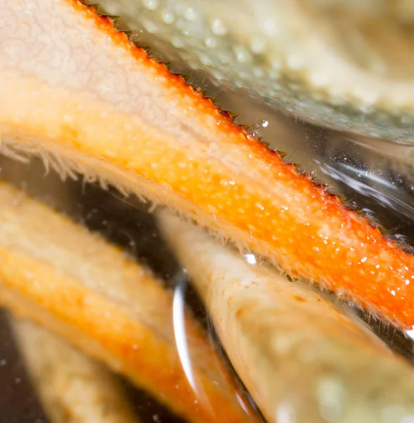 Gamberi Come Sfondo Macro Nel Parco Nella Natura — Foto Stock