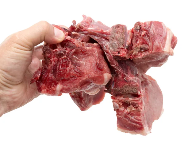 Carne Porco Uma Mão Contexto Branco — Fotografia de Stock