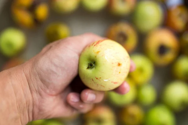 Äpple Mans Hand Parken Naturen — Stockfoto