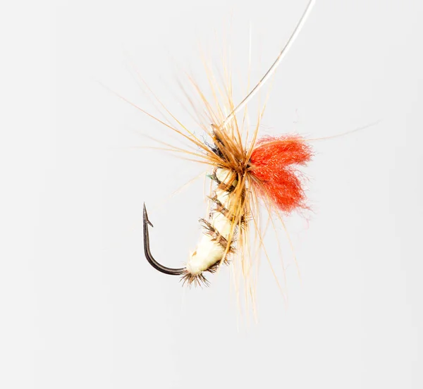 Fly Fishing White Background — Stock Photo, Image