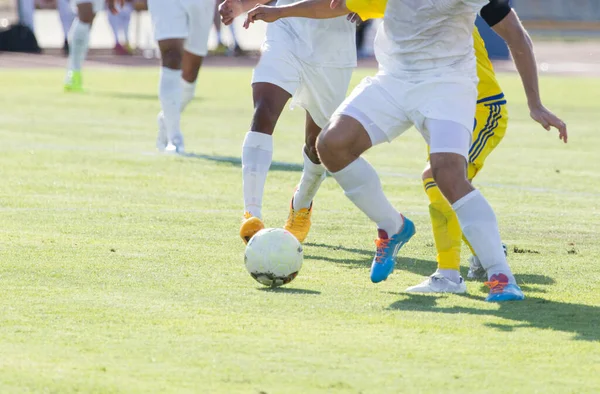 Balón Partido Fútbol Parque Naturaleza —  Fotos de Stock