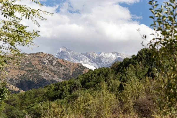 Tien Shan Güzel Dağları Kazakistan Doğadaki Parkta — Stok fotoğraf