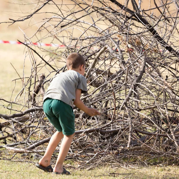男孩收集柴火 在大自然的公园里 — 图库照片