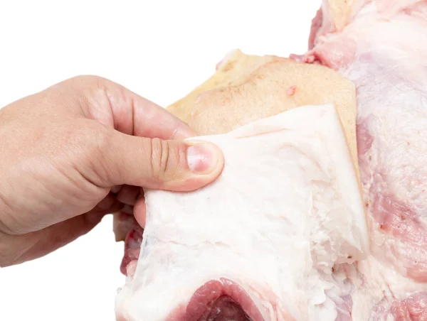 Carne Porco Uma Mão Contexto Branco — Fotografia de Stock