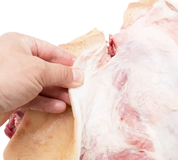 Χοιρινό Κρέας Ένα Χέρι Λευκό Φόντο — Φωτογραφία Αρχείου