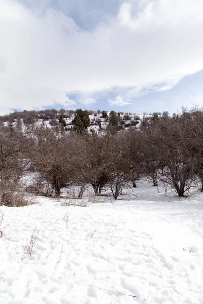 Natuur Tien Shan Bergen Winter Kazachstan — Stockfoto