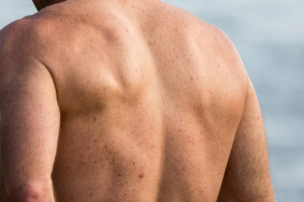 Muscles Back Man Background — Stock Photo, Image