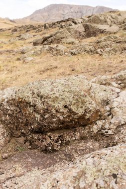 Arkaplan olarak kaya taşı. Doğadaki parkta.