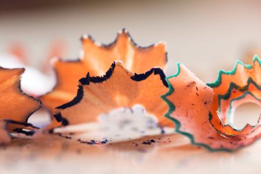 Bir kalemin enkazı. Makro. Fotoğraflar stüdyoda.