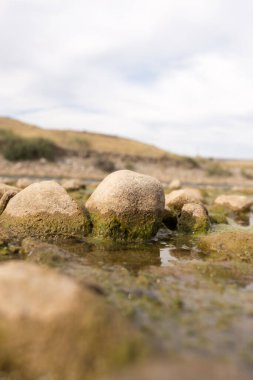 Doğada nehirdeki taşlar. Doğadaki parkta.