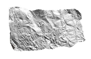 Beyaz arka planda gümüş bir yaprak. Fotoğraflar stüdyoda.