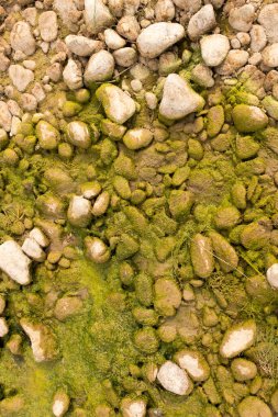 Doğada nehirdeki taşlar. Doğadaki parkta.