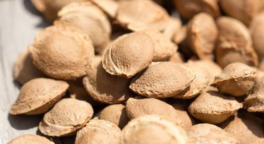 Arkaplan olarak kayısıdan fındık. Soyut bir dokunun fotoğrafı