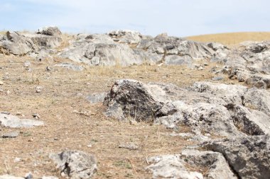 Dağlardaki kaya taşları. Doğadaki parkta.
