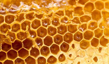 Tarakta taze bal var. Makro. Soyut bir dokunun fotoğrafı