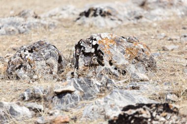 Dağlardaki kaya taşları. Doğadaki parkta.