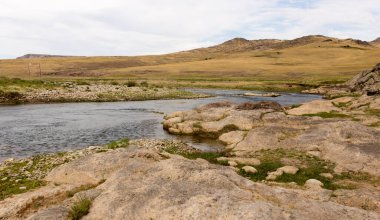 Kazakistan 'daki Boralday Nehri. Doğadaki parkta.