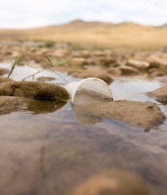 Bardak doğada çöp gibi. Doğadaki parkta.