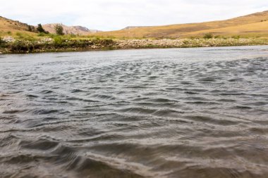 Kazakistan 'daki Boralday Nehri. Doğadaki parkta.
