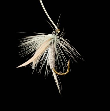 Siyah arka planda balık yakalamak için uç .