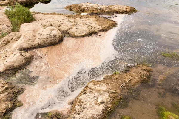 自然界中河流中的泥泞 在大自然的公园里 — 图库照片