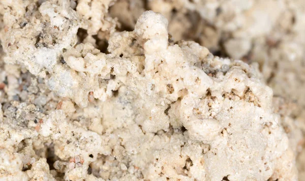 Arka plan olarak kumdan bir taş. makro .