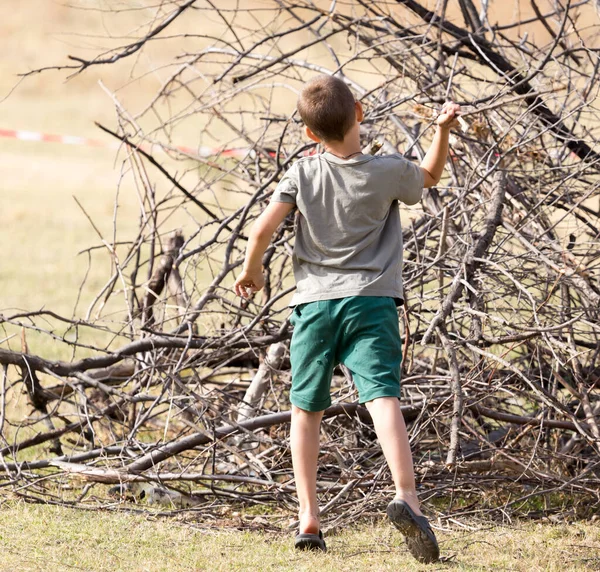 少年は薪を集める 自然公園で — ストック写真