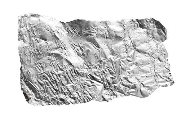 Beyaz arka planda gümüş bir yaprak. Fotoğraflar stüdyoda.