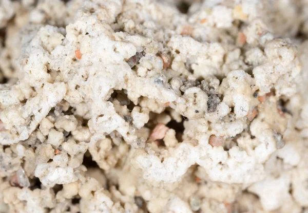 Arka plan olarak kumdan bir taş. makro .