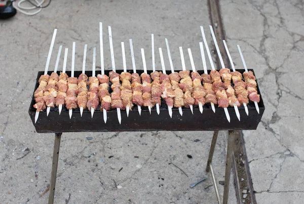 Shish Kebab Coals Park Nature — Stock Photo, Image