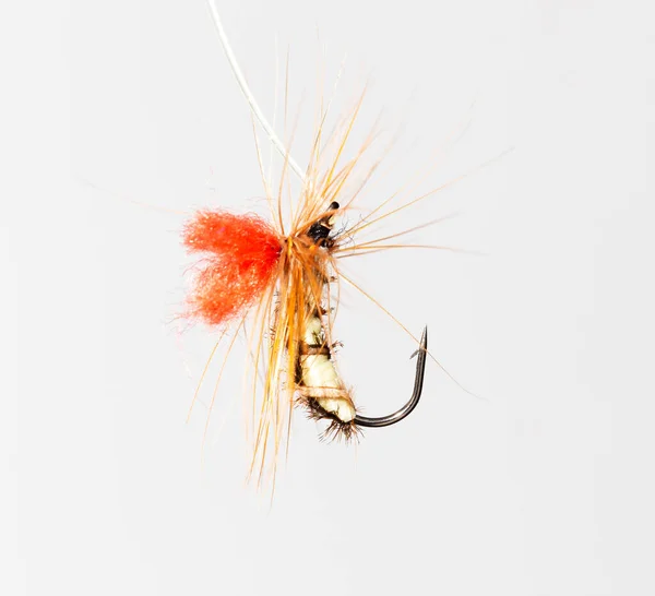 Fly Fishing White Background — Stock Photo, Image